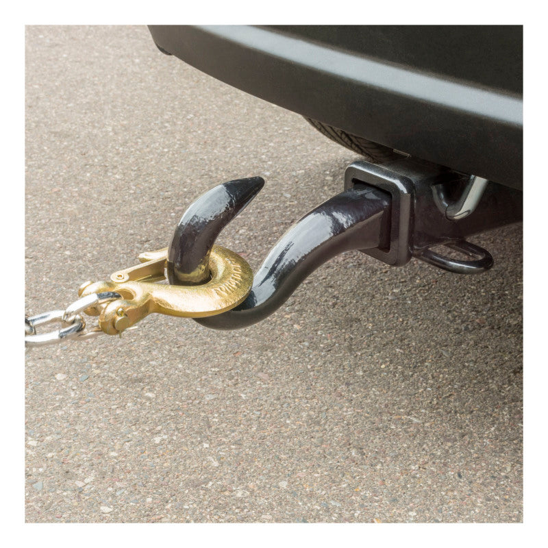 Curt Forged Tow Hook Mount (2in Shank)