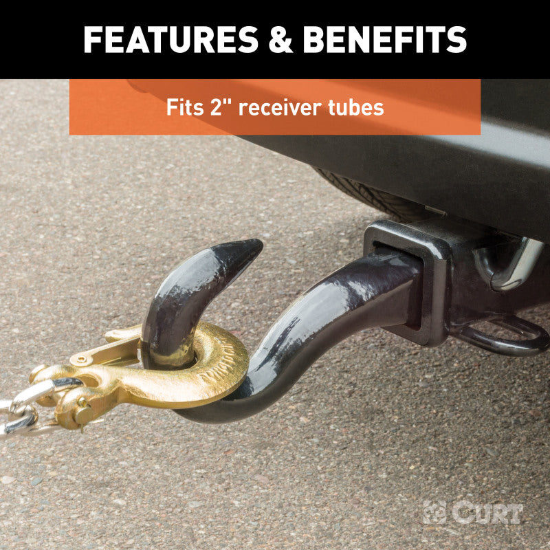 Curt Forged Tow Hook Mount (2in Shank)