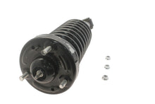 Load image into Gallery viewer, KYB Shocks & Struts Strut Plus Front FORD F-Series (1/2 Ton) (2WD) 2008-2004