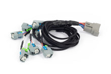 Load image into Gallery viewer, Haltech NEXUS Rebel LS EV6 Injector Sub-Harness