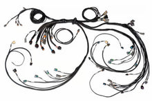 Load image into Gallery viewer, Haltech NEXUS R5 DBW Terminated Harness - DBW Ready/Injector Connector EV6