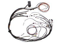 Load image into Gallery viewer, Haltech Elite 1000 Terminated Harness