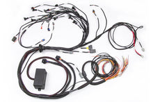 Load image into Gallery viewer, Haltech Elite 2000/2500 Terminated Engine Harness w/EV1 Injector Connectors