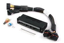 Load image into Gallery viewer, Haltech Elite 1000/1500 Plug-n-Play Adaptor Harness