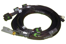 Load image into Gallery viewer, Haltech 8 Channel Individual High Output IGN-1A Inductive Coil Harness