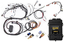 Load image into Gallery viewer, Haltech Elite 2500 Terminated Engine Harness ECU Kit w/Early Ignition