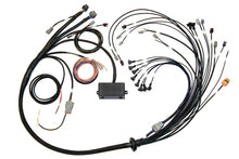 Load image into Gallery viewer, Haltech Elite 2000/2500 Terminated Harness w/EV1 Inj Connectors