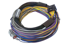Load image into Gallery viewer, Haltech Elite 750 Basic Universal Wire-In Harness - 2.5m (8ft)