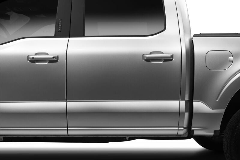 Husky Liners 17-25 Ford F250/350 Door Edge Guards (4pc Set) - Agate Black