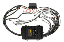 Load image into Gallery viewer, Haltech Elite 2500 Terminated Harness ECU Kit w/EV1 Injector Connectors