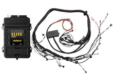 Load image into Gallery viewer, Haltech Elite 2500 Terminated Harness ECU Kit w/EV1 Injector Connectors