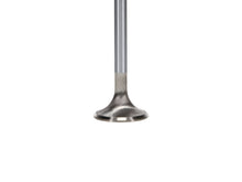 Load image into Gallery viewer, Manley Ford Modular Coyote 5.0L Gen III Race Master Series Exhaust Valve Set - 1.260in Dia