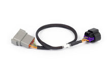 Load image into Gallery viewer, Haltech NEXUS Rebel LS 8-Pin DBW Adaptor