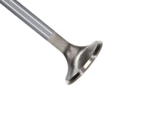 Load image into Gallery viewer, Manley Ford GT350 Voodoo 5.2L Race Master Series Intake Valve Set - 1.508in