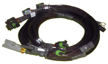 Load image into Gallery viewer, Haltech 8 Channel Individual High Output IGN-1A Inductive Coil Harness