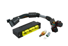 Load image into Gallery viewer, Haltech Elite 1000/1500 Plug-n-Play Adaptor Harness