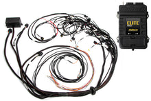 Load image into Gallery viewer, Haltech Elite 2500 Terminated Harness ECU Kit w/EV1 Injector Connectors