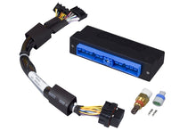 Load image into Gallery viewer, Haltech Elite 750 Plug-n-Play Adaptor Harness
