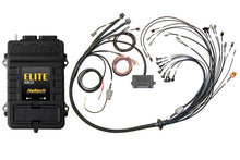 Load image into Gallery viewer, Haltech Elite 2500 Terminated Harness ECU Kit w/EV1 Injector Connectors