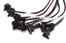 Load image into Gallery viewer, Haltech Elite 2000/2500 Terminated Harness w/EV1 Inj Connectors