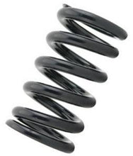 Load image into Gallery viewer, Tein Honda / Acura Replacement Straight Spring C06 - ID 70mm - Length 250mm - 6kg (pair)