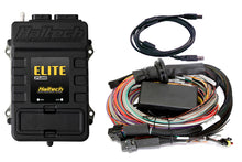 Load image into Gallery viewer, Haltech Elite 2500 Premium Universal Wire-In Harness ECU Kit - 5m (16ft)