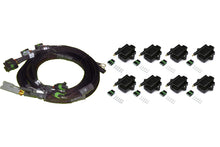 Load image into Gallery viewer, Haltech 8 Channel High Output IGN-1A Inductive Coil &amp; Harness Kit
