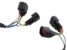 Load image into Gallery viewer, Photo - Unmounted