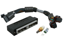 Load image into Gallery viewer, Haltech Elite 2000/2500 Plug-n-Play Adaptor Harness