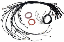 Load image into Gallery viewer, Haltech NEXUS R5 Non DBW Terminated Harness - Injector Connector EV1
