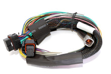 Load image into Gallery viewer, Haltech Elite 1500 Basic Universal Wire-In Harness w/o Relays or Fuses - 2.5m (8ft)