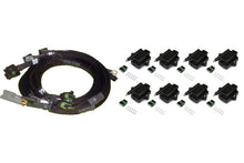 Load image into Gallery viewer, Haltech 8 Channel Individual High Output IGN-1A Inductive Coil &amp; Harness Kit