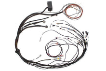 Load image into Gallery viewer, Haltech Elite 1000 Terminated Harness
