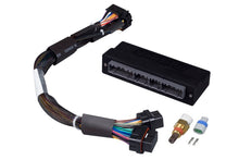 Load image into Gallery viewer, Haltech Elite 1000/1500 Plug-n-Play Adaptor Harness