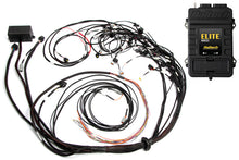 Load image into Gallery viewer, Haltech Elite 2500 Terminated Harness ECU Kit w/OE Injector Connectors