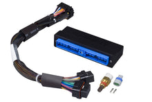 Load image into Gallery viewer, Haltech Elite 2000/2500 Plug-n-Play Adaptor Harness
