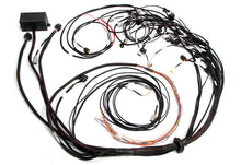 Load image into Gallery viewer, Haltech Elite 2500 Terminated Harness w/OE EV1 Injector Connectors