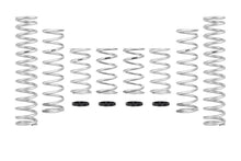 Load image into Gallery viewer, Eibach 15-16 Can-Am Maverick Pro-UTV - Stage 3 Performance Spring System (Set Of 8 Springs)