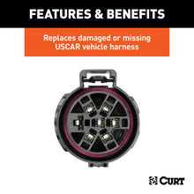 Load image into Gallery viewer, Curt Replacement USCAR Socket w/24ft Wires (Vehicle Side)