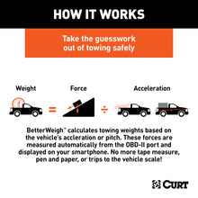 Load image into Gallery viewer, Curt BetterWeigh Mobile Towing Scale (OBD-II)