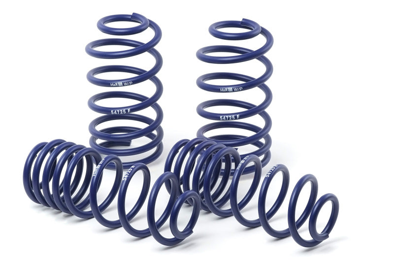 H&R 04-08 Acura TL 6 Cyl Race Spring