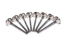 Load image into Gallery viewer, COMP Cams Ss Valves BBC Exh 1.880in 11/3