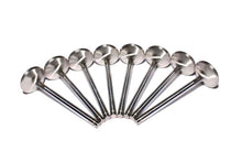 Load image into Gallery viewer, COMP Cams Ss Valves BBC Exh 1.880in 11/3
