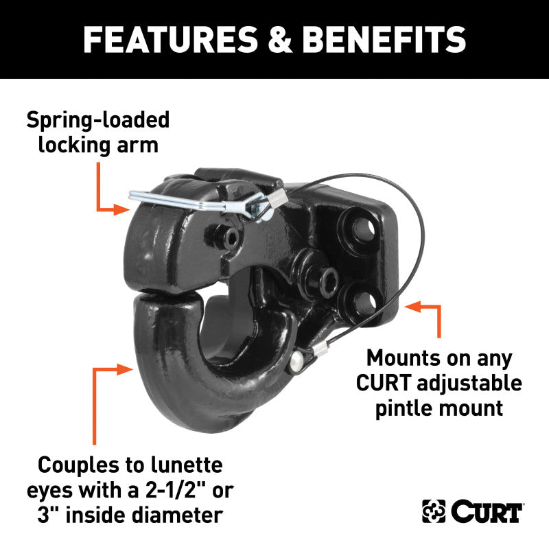 Curt Pintle Hook (20000lbs 2-1/2in or 3in Lunette Eyes)