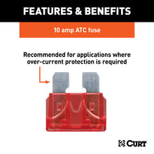 Load image into Gallery viewer, Curt 10-Amp Universal Fuses (100-Pack)